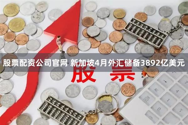 股票配资公司官网 新加坡4月外汇储备3892亿美元